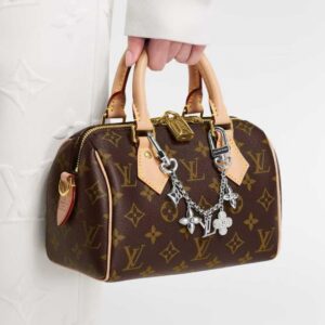 LV Spring Street Chain Bags and keychains